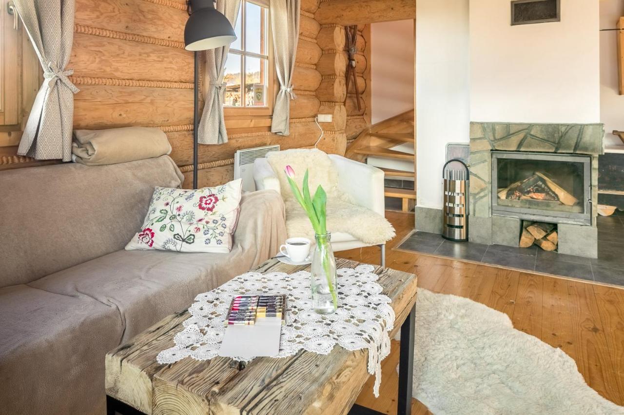 Nydala Rustic Villa Kościelisko Dış mekan fotoğraf