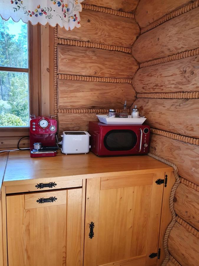 Nydala Rustic Villa Kościelisko Dış mekan fotoğraf