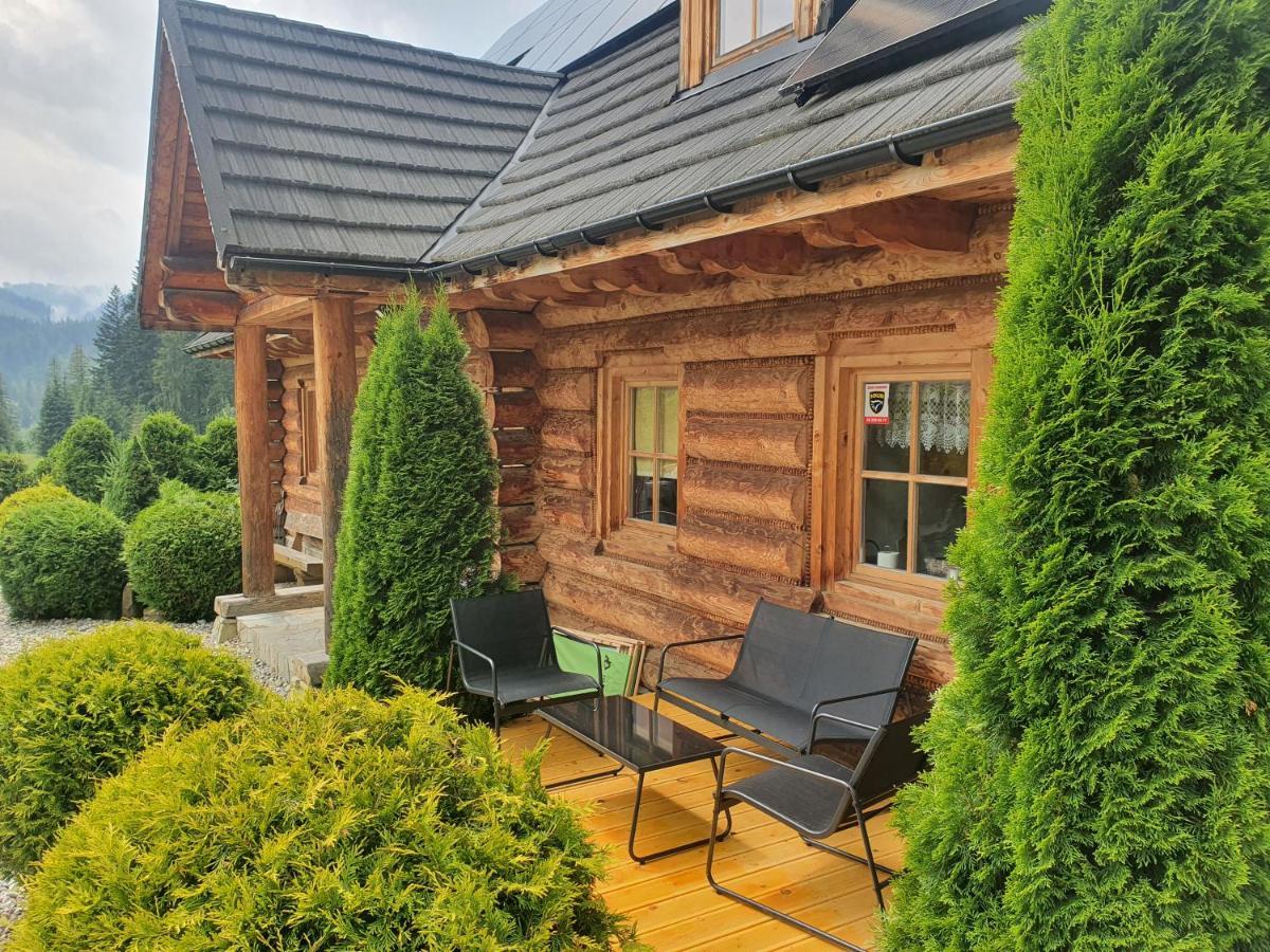 Nydala Rustic Villa Kościelisko Dış mekan fotoğraf
