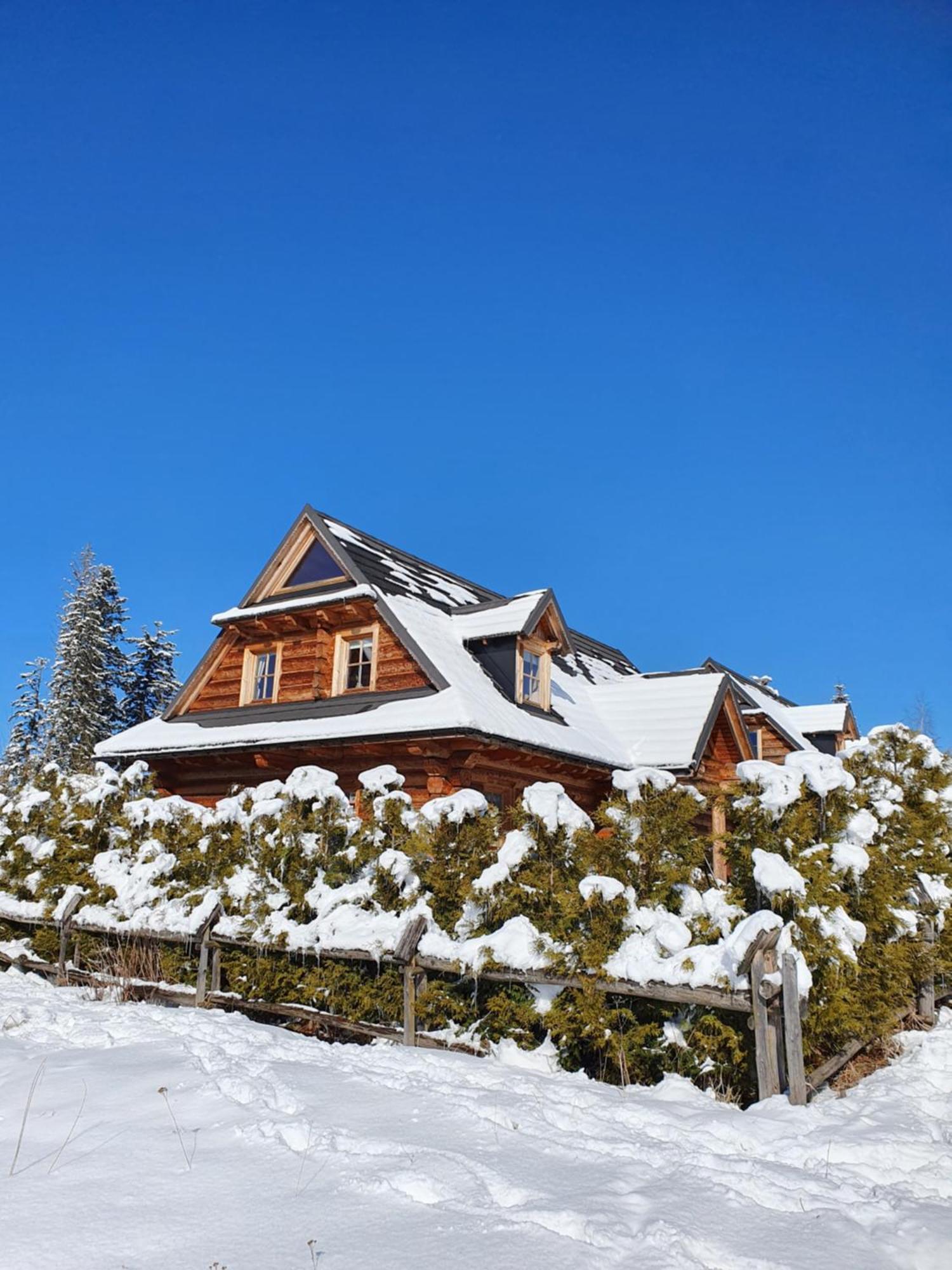 Nydala Rustic Villa Kościelisko Dış mekan fotoğraf